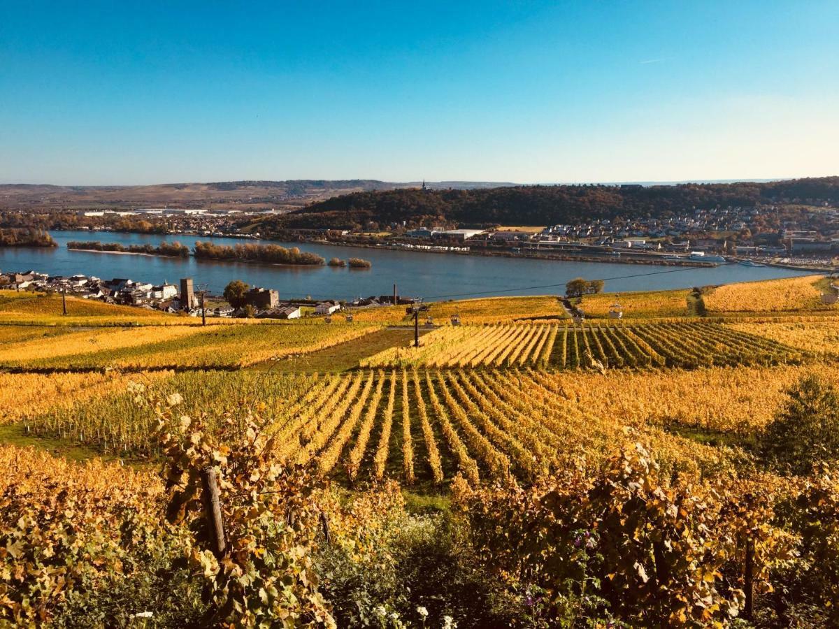 Altdeutsche Weinstube Otel Rüdesheim am Rhein Dış mekan fotoğraf